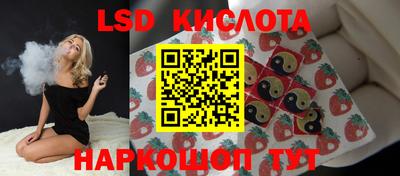индика Лесосибирск