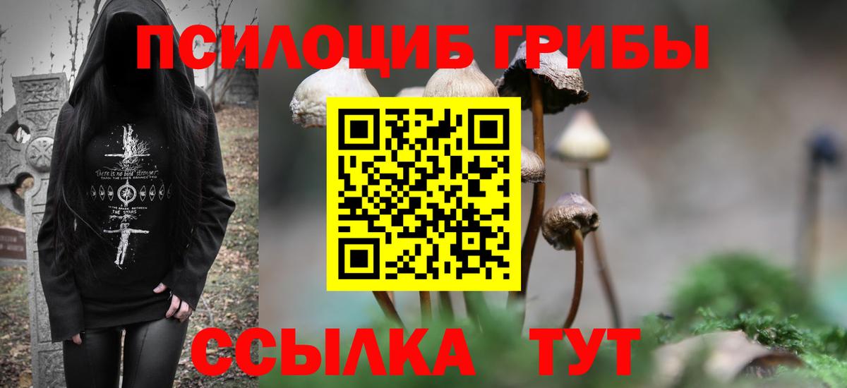 Волоколамск  Псилоцибиновые грибы Psilocybe  Вход с VPN 